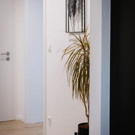 Kleine gemütliche Wohnung