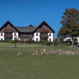 Ferienappartements Rausch, hotel en Presseck