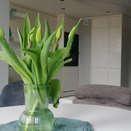 Apartament 35, hotel en Olsztynek