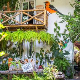 Hotel Casa Lasibe Café