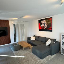 Great apartment in Lausanne, hotelli Lausannessa