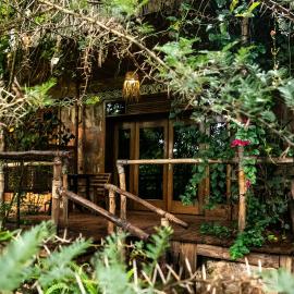 Akagera Transit Lodge, hotel i Akagera