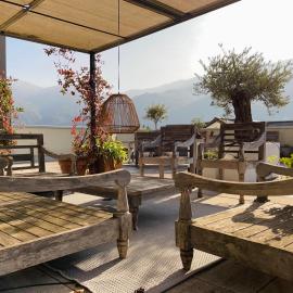La Terrazza dell'Ulivo