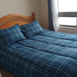 don federico tome, hotel v destinácii Tomé