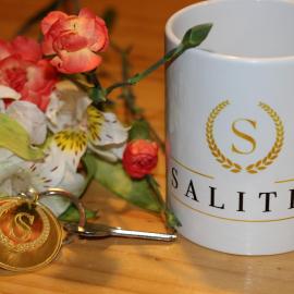 SALITRE SPA, hotel i Pozo Almonte