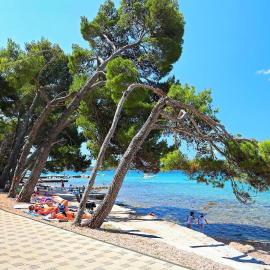 Danyja Mobilehome, hotel in Biograd na Moru