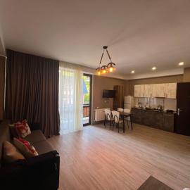 Didveli Residence Apartment