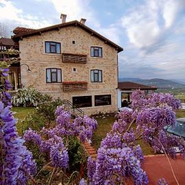 Hayat Oksijen Resort, Hotel in Altınordu