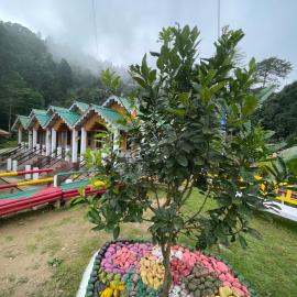 Montavilla Eden Homestay Sittong