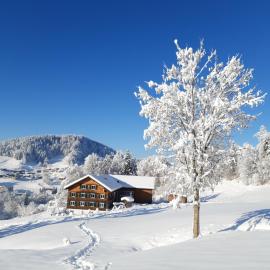 Ferienhof Dürlinde, hotel a Hittisau