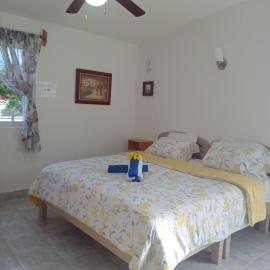 Estudio Coatí Azul en la Isla de Cozumel en el Caribe