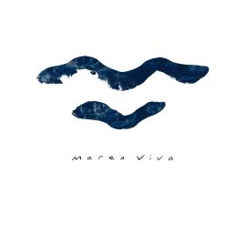 M a r e a V i v a - O a x, khách sạn ở Zipolite