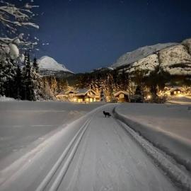 Hemsedal Mountain Retreat, Hotel in Hemsedal