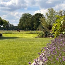 B&B Droomzoet, hotel in Herentals