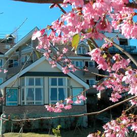 Cingjing Dream town, hotel v destinaci Renai