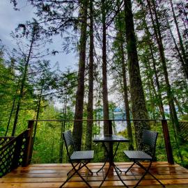 Forest Nook, Hotel in Queens Bay
