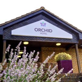 Orchid Hotel, Epsom Surrey, Sure Collection by Best Western