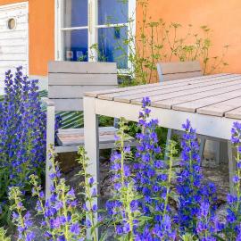 Cozy Apartment In Visby With Kitchen