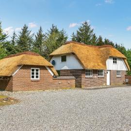 Three-Bedroom Holiday Home In Ulfborg, מלון בUlfborg