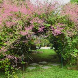 Marys Cottage, hotel en Mba
