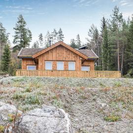 Amazing Home In Vrådal With Sauna, hotel in Vradal