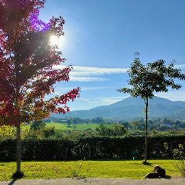 Le Piracante, Rural Retreat & B&B Caiazzo, hotell i Caiazzo