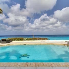 Belmar Oceanfront Apartments 21 right on the ocean with diving facilities