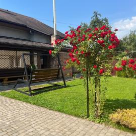 Артемів двір