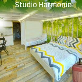 Joli studio avec terrasse, 2km A79, 6km le Pal, hotel in Dompierre-sur-Besbre
