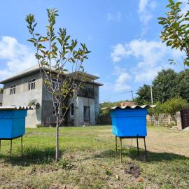 Lankaran Hot Springs Guest House, хотел в Haftoni