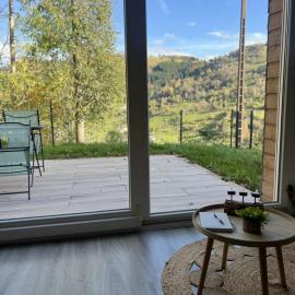 Appartement calme La Bresse animaux admis