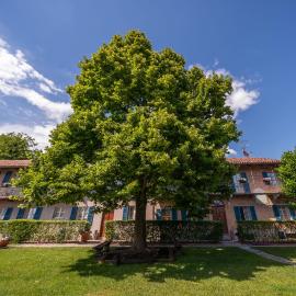 La Madernassa Resort - Casalora Dimora Storica di Charme, hotel v destinácii Guarene