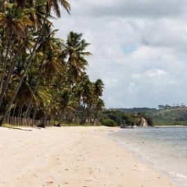 Praia dos Carneiros - Amura