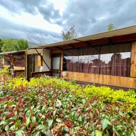 Glamping en villa, hotell i Villa de Leyva