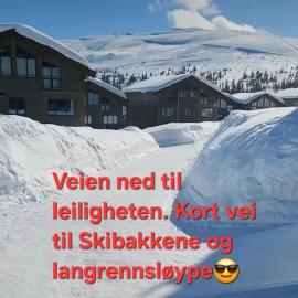 Ski in Ski out Trysil in the mountain of Norway 60m from the Slopes, hotel a Trysil