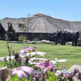 Linglela Lodge, hotel in Estcourt