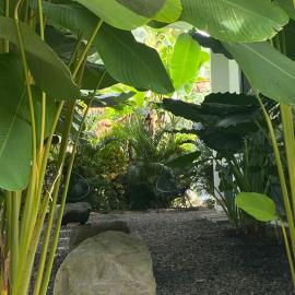 Toucan home, hotel v destinaci Fortuna