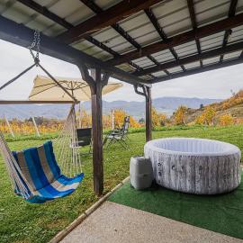 Apartment Trta with Vineyard View