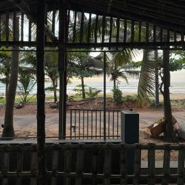 Beach Hive
