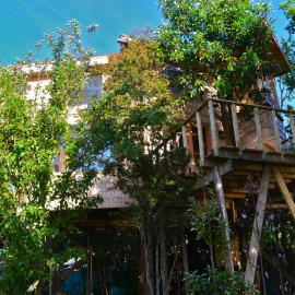 La Casa Del Árbol De Chiloé, hotell sihtkohas Castro