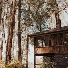 Forest Retreat