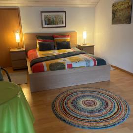 Queen Guest Room, khách sạn ở Mont-sur-Rolle