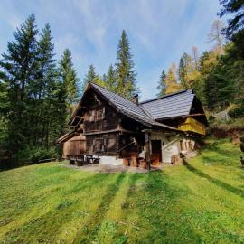 Chalet Hüttentraum by Globalimmoservice, hotel in Bad Kleinkirchheim