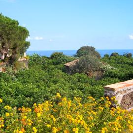 Agriturismo Il Limoneto Acireale, hotel in Acireale