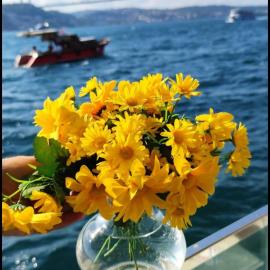 a beautiful house on the Near the Bosphorus in Istanbul wonderful garden, hotel a Istanbul