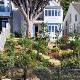 The Dragon Tree Guesthouse