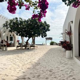 Coco Beach Hotel, hotel in Jambiani
