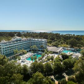 Berry Blue Hotels、シダのホテル