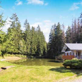 Awesome Home In Schleusingen With Sauna