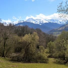 Le Perchoir des Pyrénées, hotel di Gerde